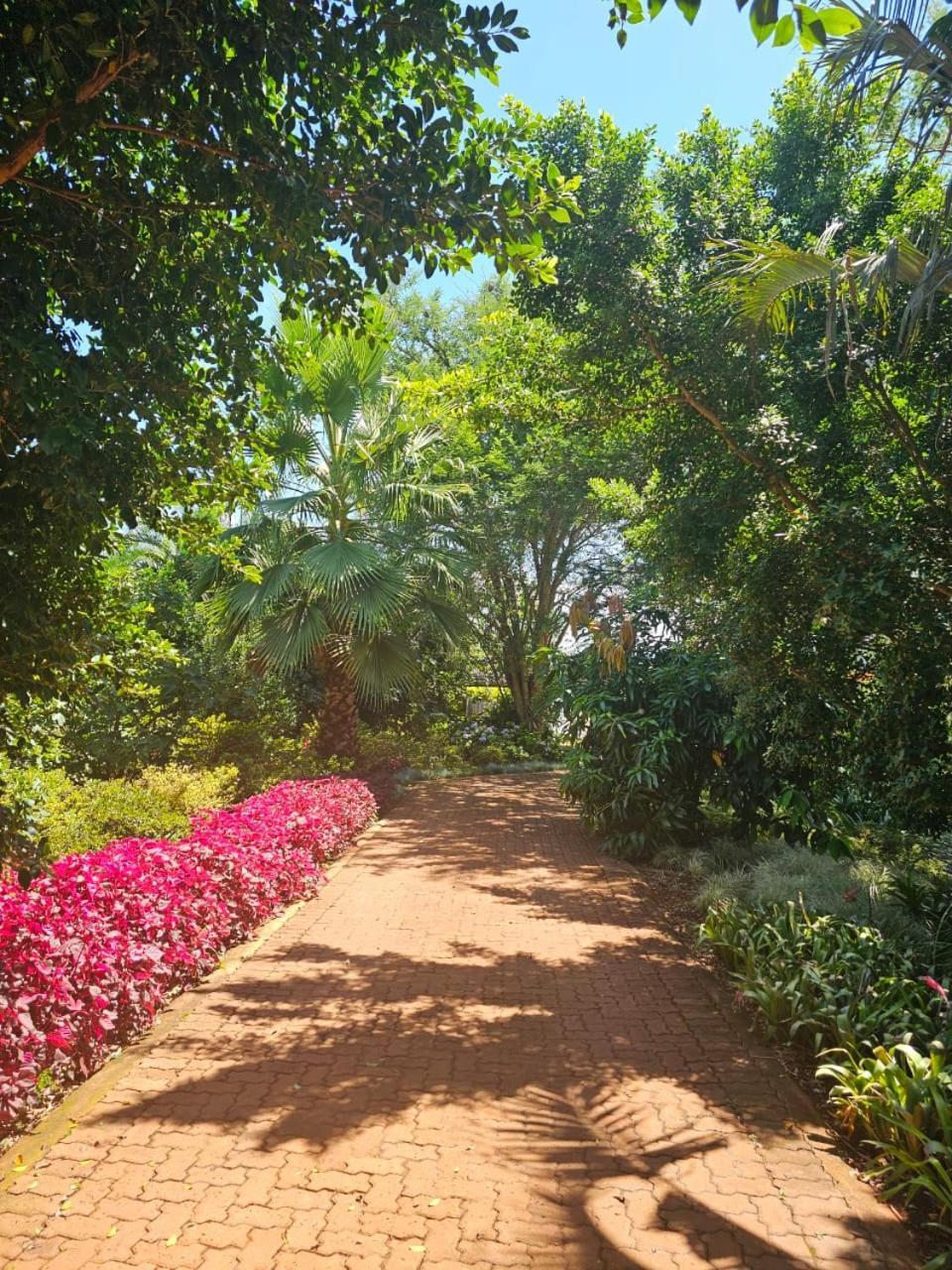 Tzaneen White House Lodge Bagian luar foto