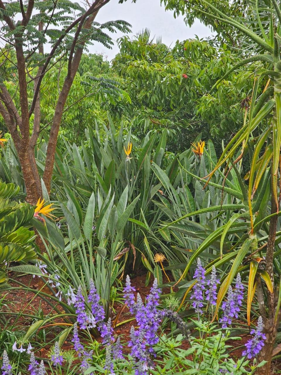 Tzaneen White House Lodge Bagian luar foto