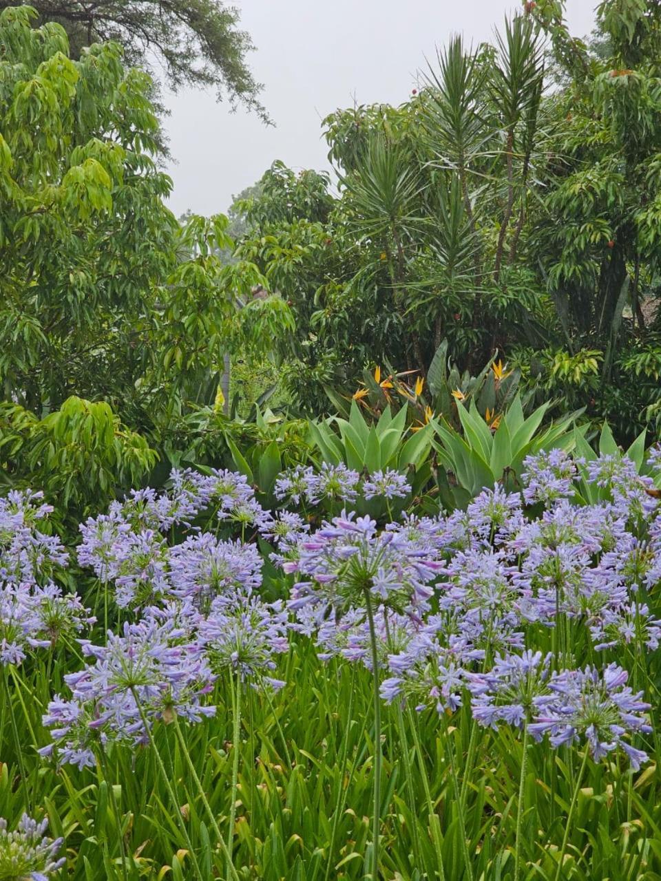 Tzaneen White House Lodge Bagian luar foto